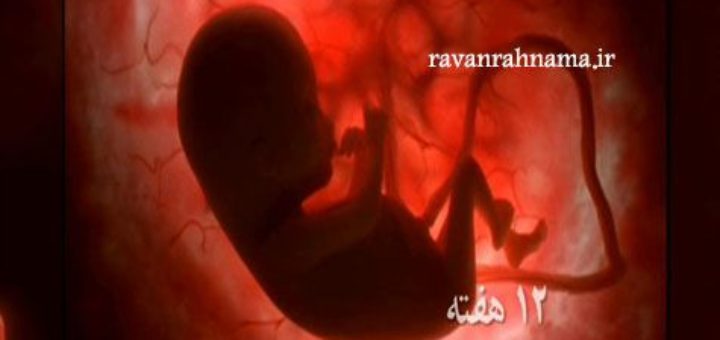 دانلود مستند رشد جنین