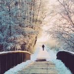 اختلال شخصیت اسکیزوئید