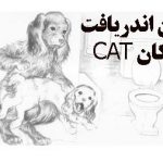 آزمون اندریافت کودکان CAT