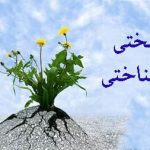 سرسختی روانشناختی چیست؟