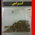 گراس یا ماده مخدر گل یا ماری جوانا