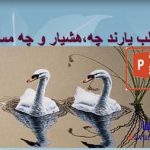 پاورپوینت انتخاب همسر و شرایط ازدواج موفق