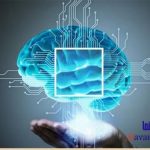 هوش یا آی کیو (IQ)