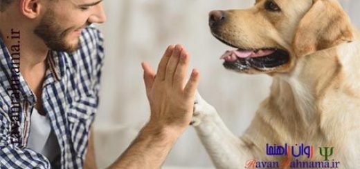 درمان بوسیله حیوانات خانگی