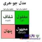 پنجره جوهری خودشناسی (ماتریس خودآگاهی)
